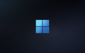 Windows远程桌面60FPS GPU加速 优化设置|FiveM插件网